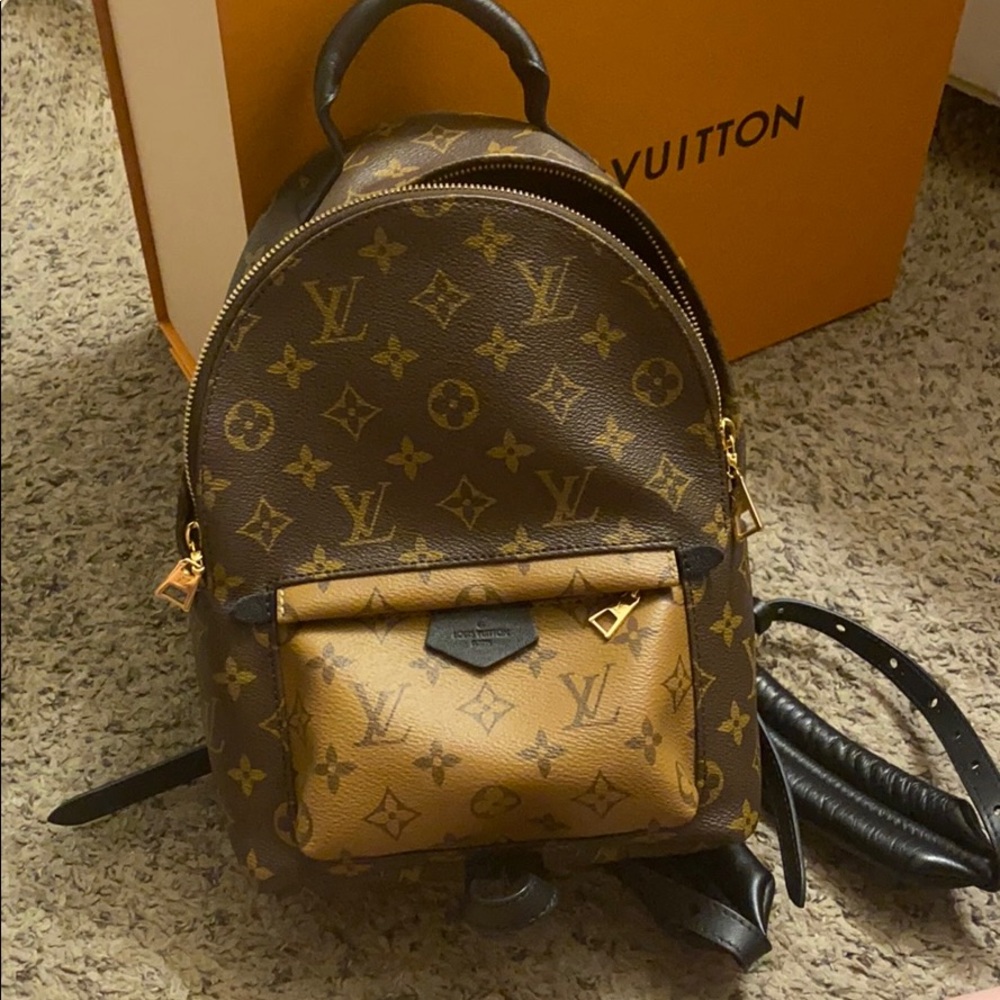 Louis Vuitton reverse monogram palm springs pm